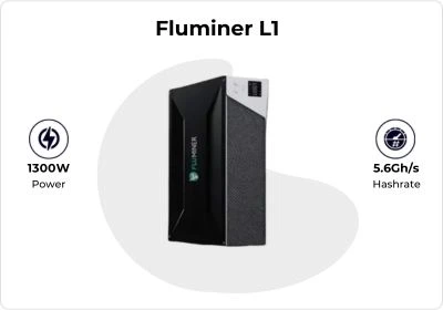 Fluminer L1 Dogecoin_miner