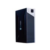 Fluminer L1 Dodecoin miner